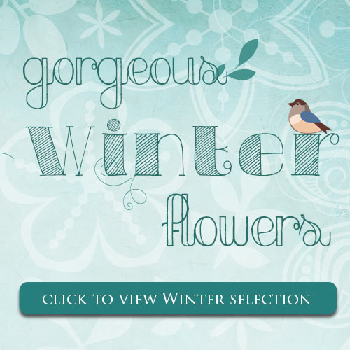 Summer banner with Sunny sunflower field graphic with text “Send Our Summer Flowers” and a green “Shop Now” button.