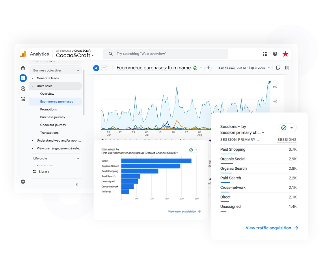 Google Analytics dashboard showing SEO traffic sources and ecommerce purchase trends.